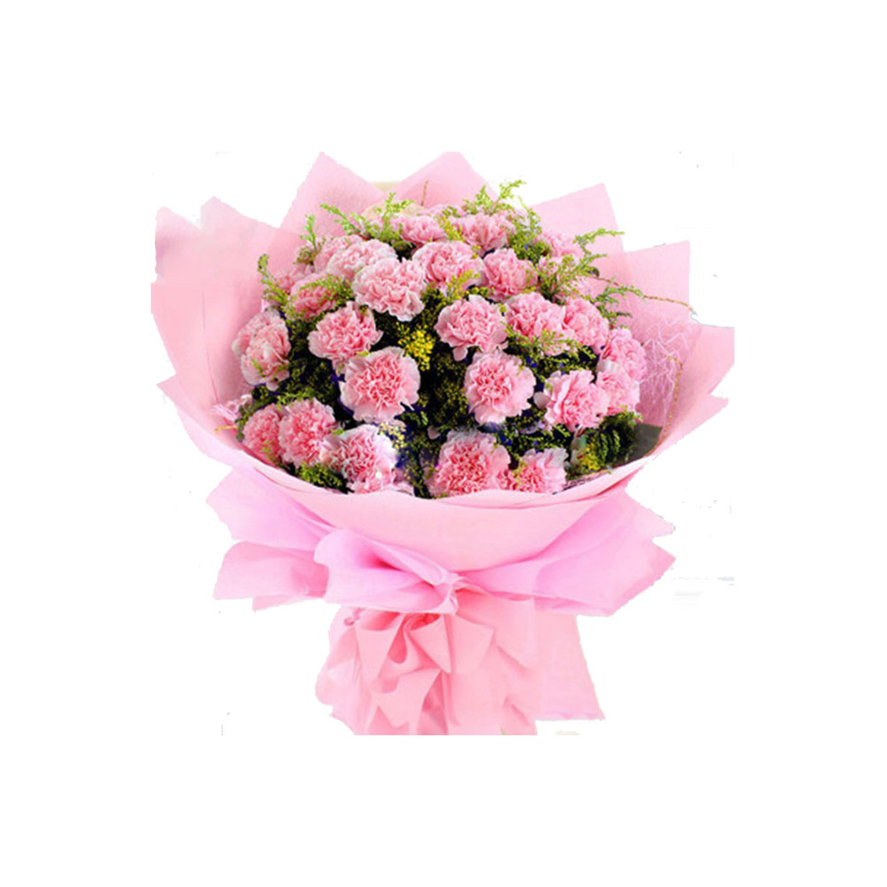 >19枝粉色康乃馨鲜花花束(仅限武汉三环内配送)